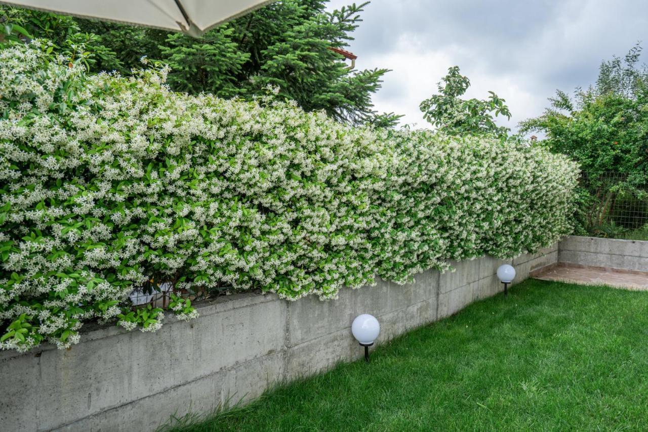 Veria Panorama Luxury Suite With Garden 2 Zewnętrze zdjęcie